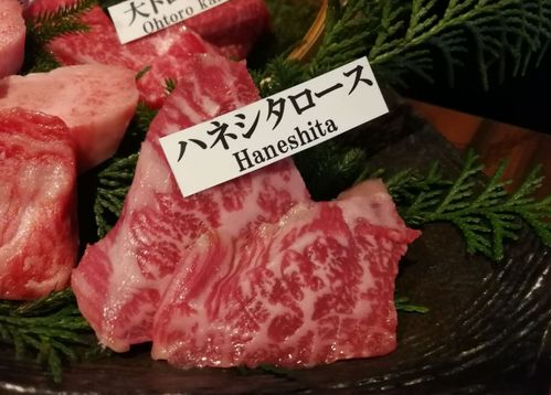 探店启程：一场味蕾的冒险