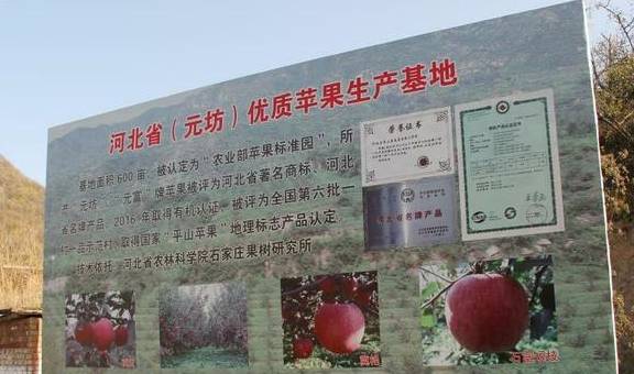 郵編驿站：艺术与传统交汇点