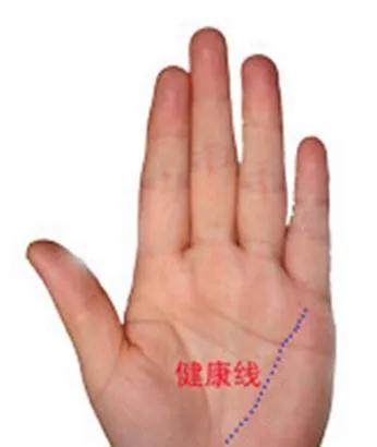 它能解析我的身体健康状况走向吗？（或许吧……或者也有可能没啥用）
