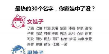 四、一些超烂建议（请谨慎采纳）
