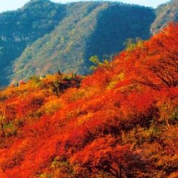 香山一日游：最佳路线推荐