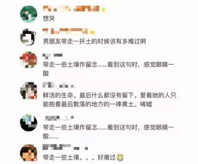 戌时出生的女孩，2026年命运大爆炸