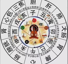 午时：修仙进行时