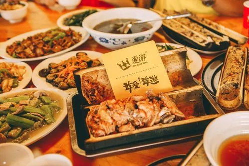 美食探险：从天堂到医院的奇幻漂流
