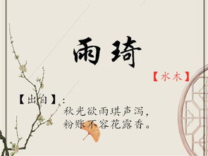 带“有”字较浅显简单懂