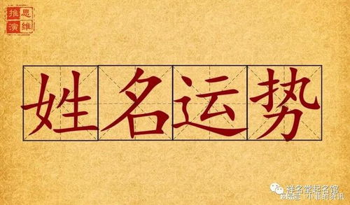一、名字不只是标签，还是“情感炸弹”