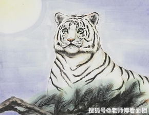 2026年哪个生肖年被称为印累绶苦，那一年最苦的三大生肖是哪些？
