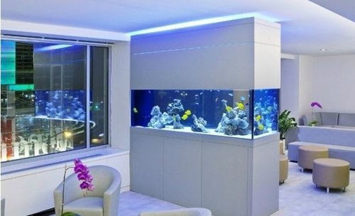 鱼缸柜子多高风水好,鱼缸柜子什么材质的好