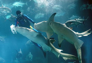 内部景点像迷宫一样较深不可测