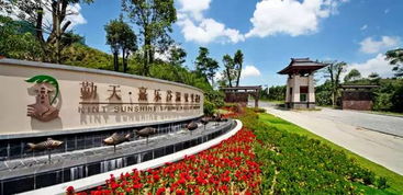 第一场晨跑：血脉激荡与心跳共振