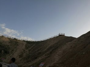 1. 老人湖胡杨林景区：荒凉里的一抹绿色