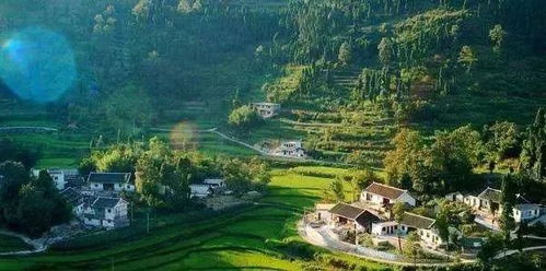 OTA平台：天使还是魔鬼？