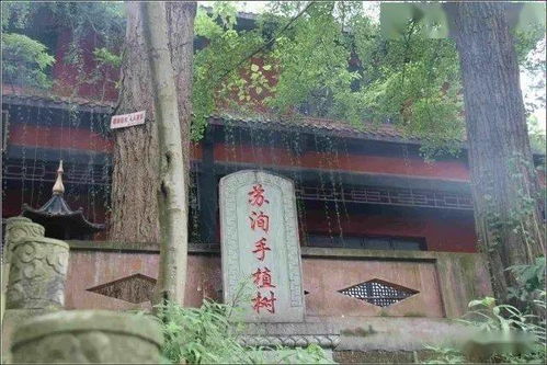 白龙深潭的传说