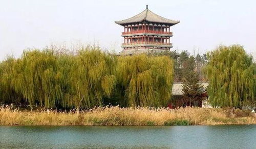 路边风景：不如看手机