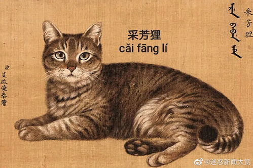 周边环境与生活方式 ：创立舒适惬意的空间范围