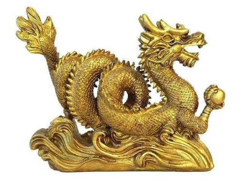 生肖龙男人的择偶观