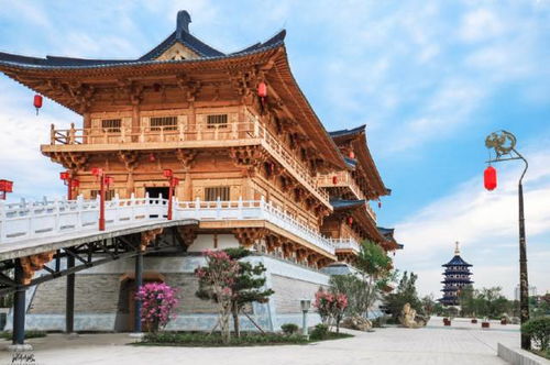 #③# 牡丹园——春天必打卡的花海⚘⚘⚘
