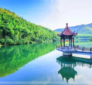 宜兴竹海：被遗忘的江南秘境