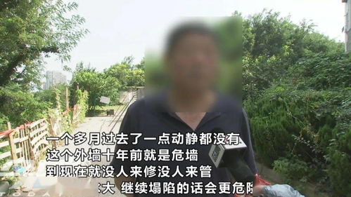 幸存与回忆