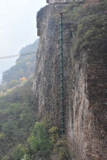 血泪控诉！导游比土匪还狠