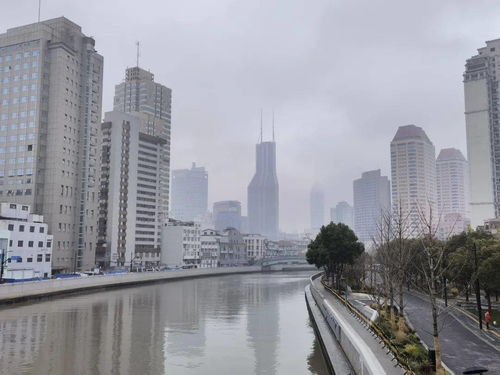 二、明珠项目：名字良好听但实际…嗯…算是“亮眼”吧？