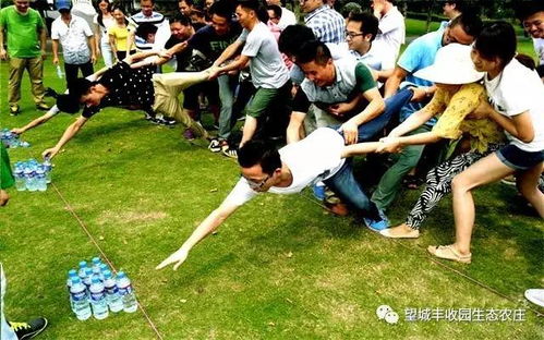 团队合作？不存在的！