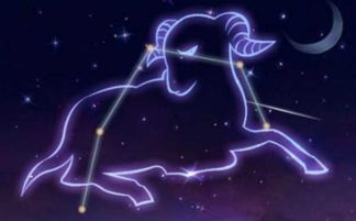 白羊座男生和天蝎座女生在一起会和谐吗？