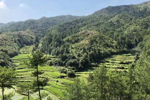 改风水可yi改变命运吗,可yi改变风水的地方