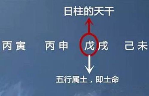 欧宗良八字命理真的能预测其事业成就吗？
