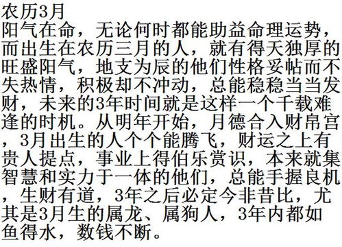 农历十三：智商碾压全场