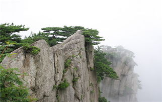 Day 1: 抵达接站(省心无压力)——各地抵达黄山(黄山北站/屯溪机场)
