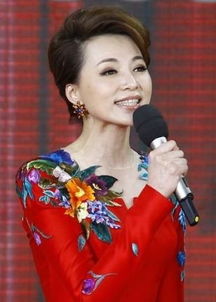 董卿八字排盘大运改写婚姻运势，准确吗？