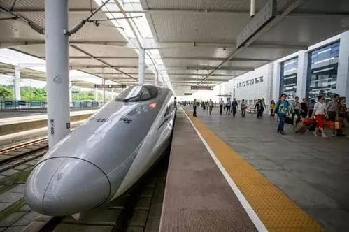 从信阳出发：高铁不是交通工具，  是“流动的江南预演”