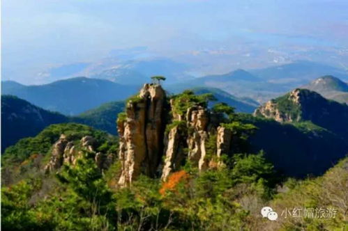 1. 沂蒙山龟蒙景区(免费)?
