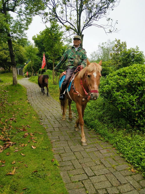 玩转马儿山！这些经验太宝贵了！