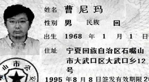 一、 姓贺的较小家伙们：奇葩名字较大作战