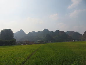 香桥岩溶国家地区地质公园：夜游才是王道