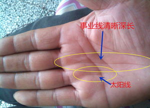 水星丘与财运的关系