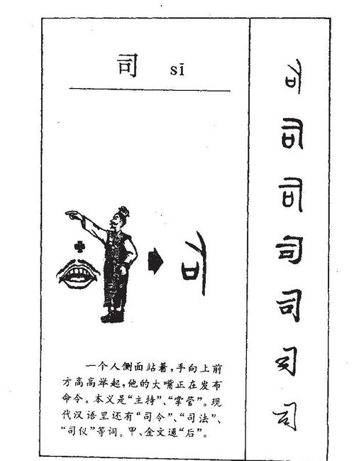表格展示：不同领域采用频率对比