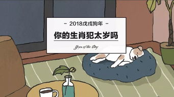 如guo不幸遇到了怎么办?