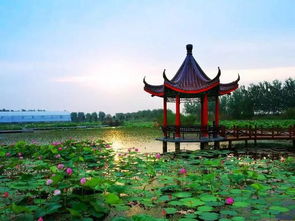 (1)洪泽湖湿地公园(国家地区4A级景区)
