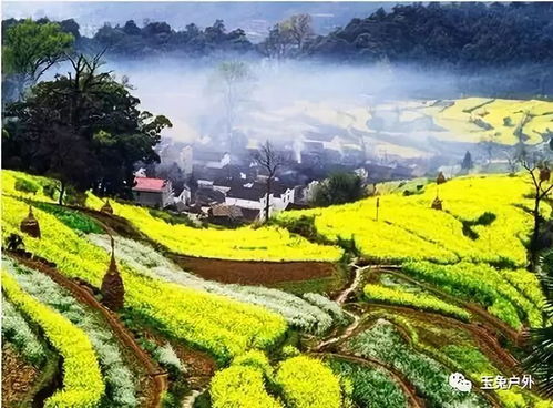 先泼盆冷水：七月婺源的三个“坑”， 90%的游客都踩过