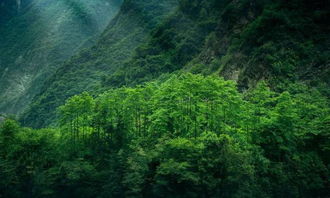 2. 景点门票及开放时间——钱袋子保卫战