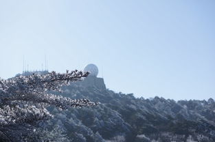 旅行攻略， 轻松出行