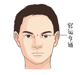 下巴有痣对面部风水有影响吗？图片展示下巴痣的风水特征。