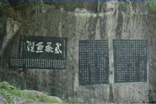 （一）青石板上的脚印