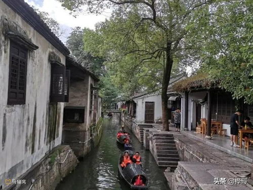 三、 五一顾园，人潮涌动——除了人还是人