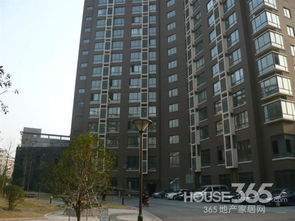 商住楼房,房子商住