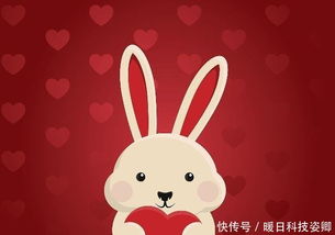 2026年属兔的麦玲玲全年运势如何？麦玲玲十二生肖手链的含义是什么？