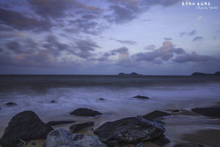 1.2 社交媒体的狂热刷屏